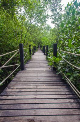 Fototapete Brücke mit Leinen im Wald
