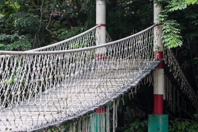 Fototapete Brücke mit Leinen mit Waldhintergrund