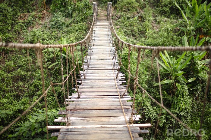 Fototapete Brücke mitten im Dschungel