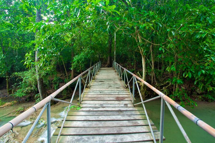 Fototapete Brücke mitten im Regenwald