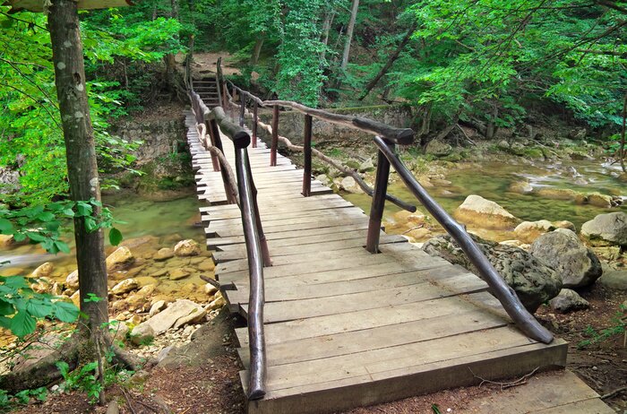 Fototapete Brücke überm Bergfluss