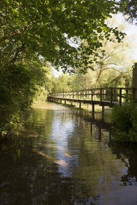Fototapete Brücke überm Fluss im Wald