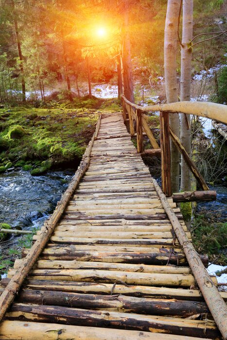 Fototapete Brücke überm Gebirgsbach