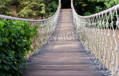 Fototapete Brücke Wald im Hintergrund