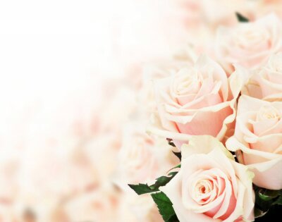 Fototapete Bündel aus rosa Rosen