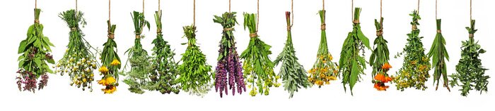 Fototapete Bündel bunter frischer Kräuter auf weißem Hintergrund