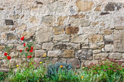 Fototapete Bunte Blumen bei alter Mauer