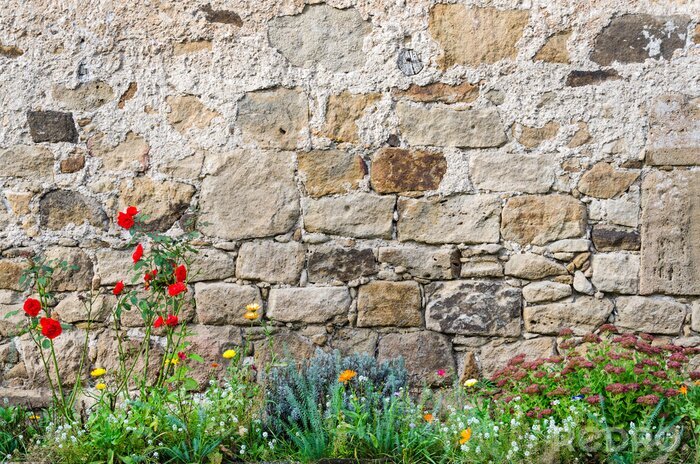 Fototapete Bunte Blumen bei alter Mauer