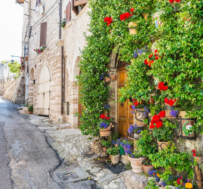 Fototapete Bunte Blumen im alten Stadtviertel