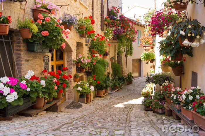 Fototapete Bunte Blumen in einer italienischen Gasse in Spello