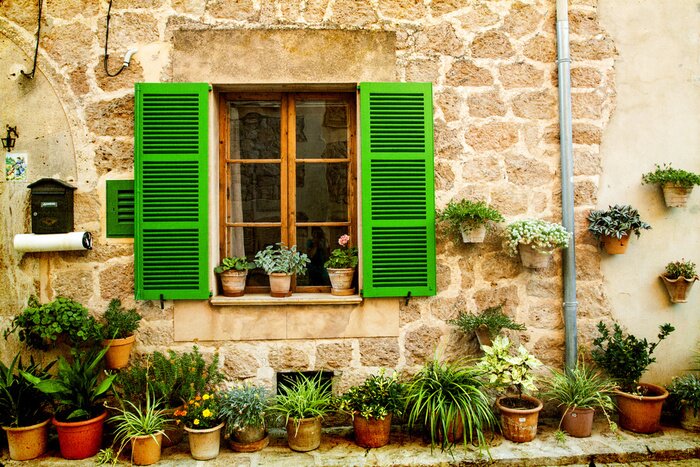 Fototapete Bunte Blumen unter dem Fenster