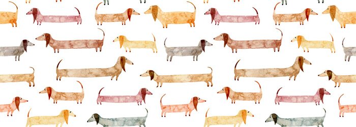 Fototapete Bunte Dackel