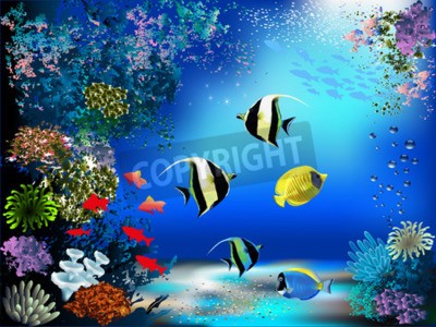 Fototapete Bunte Fische und Ozeanpflanzen