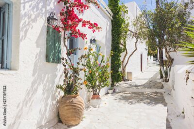 Fototapete Bunte Pflanzen auf einer Griechischen Straße