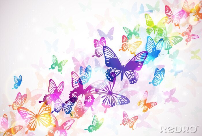 Fototapete Bunte Schmetterlinge auf weißem Hintergrund