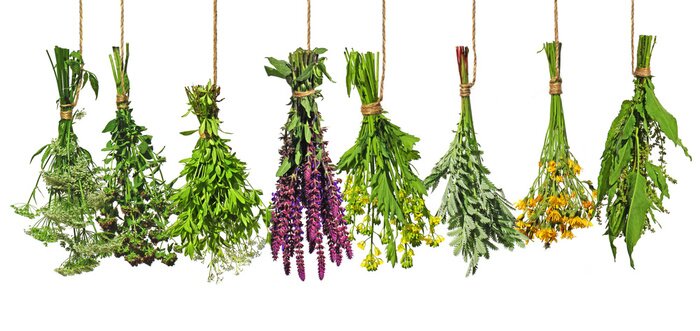 Fototapete Bunte Sträuße aus frischen Kräutern auf weißem Hintergrund