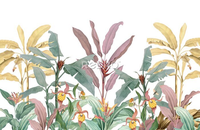 Fototapete Bunte tropische Pflanzen auf weißem Hintergrund