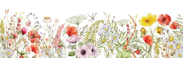 Fototapete Bunte Wildblumen auf weißem Hintergrund