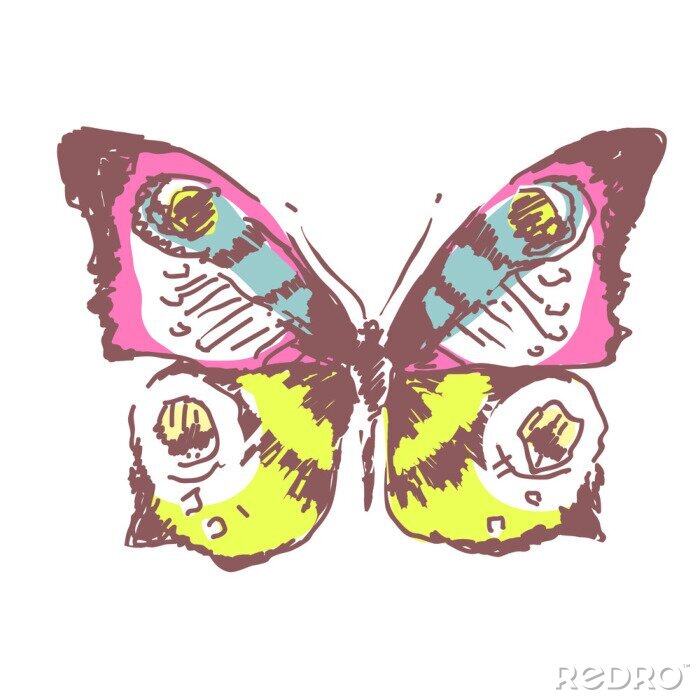 Fototapete Bunter Schmetterling auf hellem Hintergrund