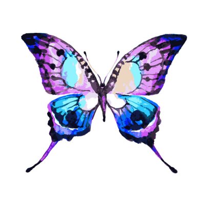 Fototapete Bunter Schmetterling in Aquarell