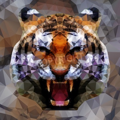Fototapete Bunter tiger 3d