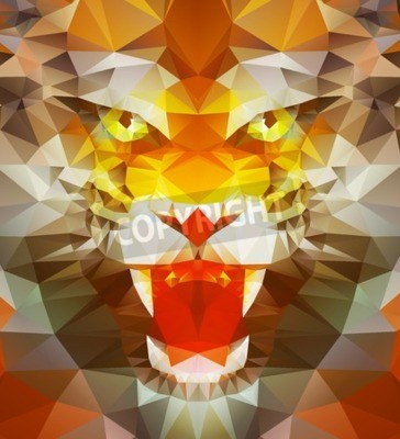 Fototapete Bunter tiger 3d
