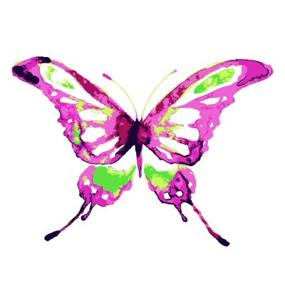 Fototapete Buntes Muster mit Schmetterling
