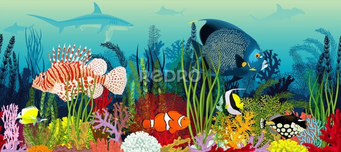 Fototapete Buntes Muster mit tropischen Fischen und Pflanzen