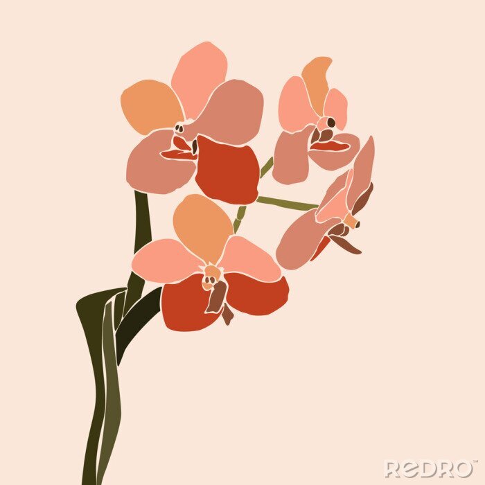 Fototapete Burgunderrote Orchidee minimalistische Grafik