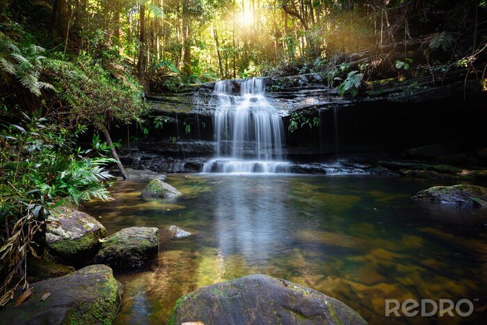 Fototapete Bushland waterfall and oasis