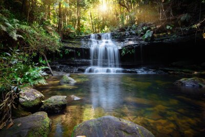 Fototapete Bushland waterfall and oasis