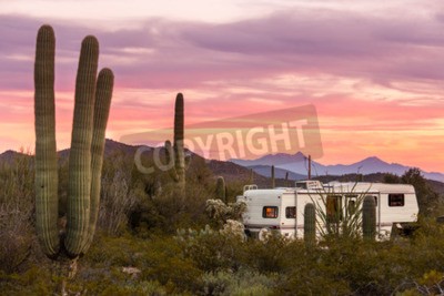 Fototapete Camper in der Wüste mit Kakteen