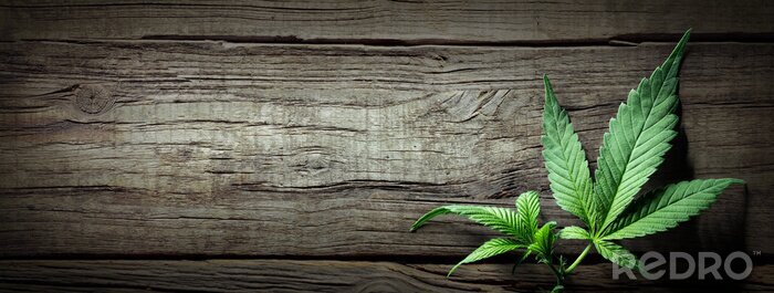 Fototapete Cannabisblätter auf einem Holzboden
