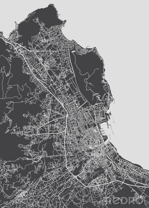 Fototapete City map Palermo, monochrome detailed plan, vector illustration