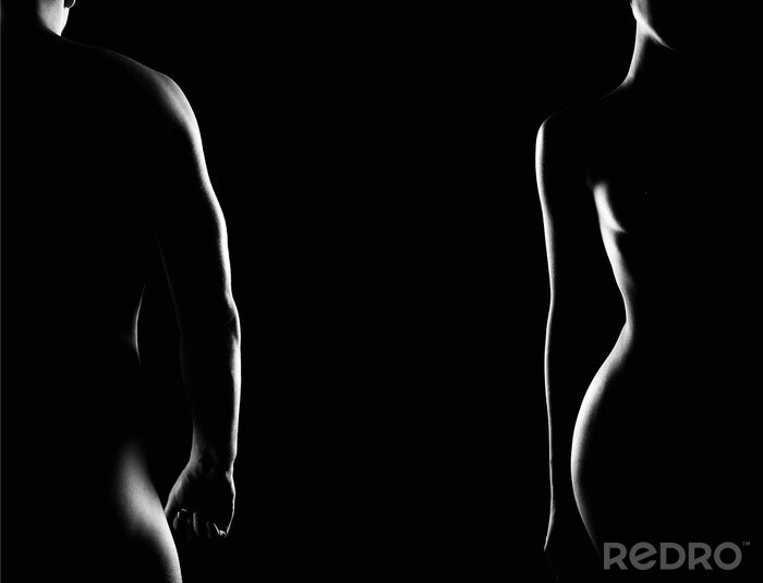 Fototapete Couple. Female and Male Nude Silhouettes