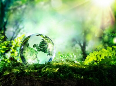 Fototapete Crystal globe on moss in a forest - environment concept