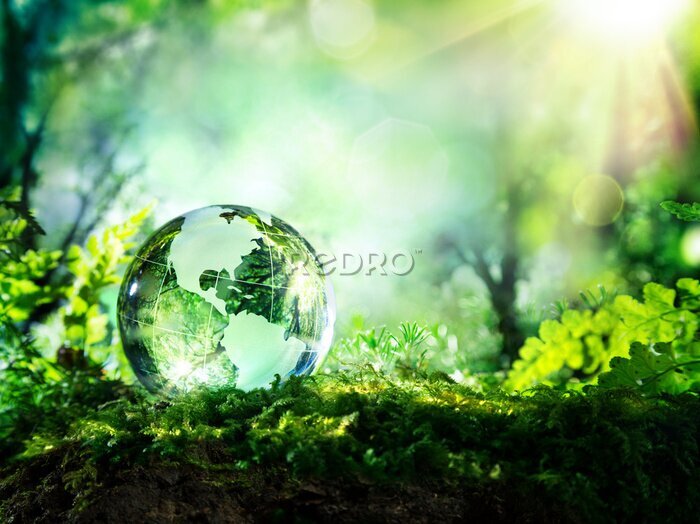 Fototapete Crystal globe on moss in a forest - environment concept