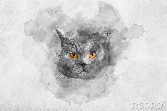 Fototapete Cute British shorthair cat's watercolor portrait.