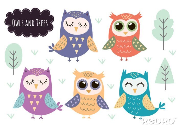 Fototapete Cute owls collection. Forest animals isolated elements