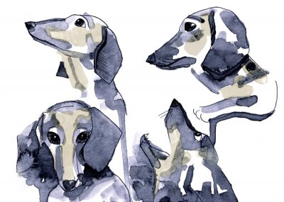 Fototapete Dackel mit Aquarellfarben gemalt auf weißem Hintergrund