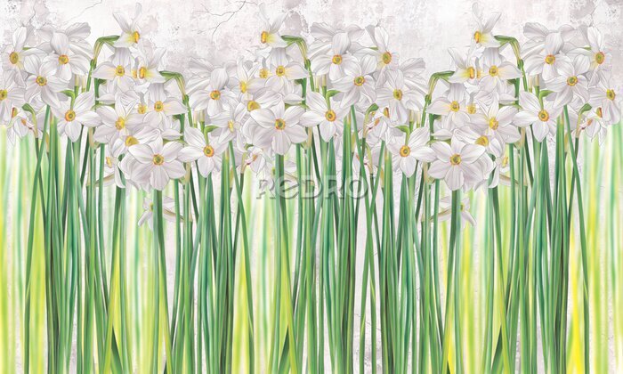 Fototapete Daffodils flowers painted on a grey concrete grunge wall. Floral background. Design for wall mural, card, postcard, wallpaper, photo wallpaper.