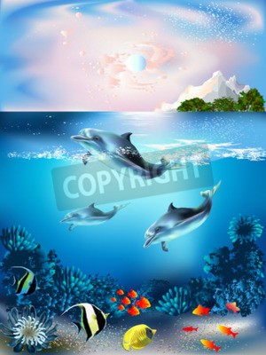 Fototapete Delfine und Unterwasserpflanzenwelt
