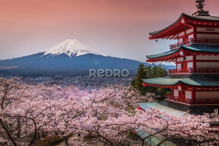Fototapete Der Berg Fuji in Japan mit Kirschblüten