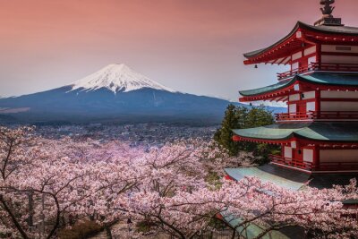 Fototapete Der Berg Fuji in Japan mit Kirschblüten