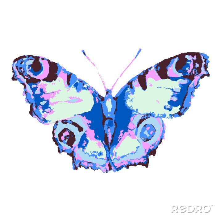 Fototapete Designer-Schmetterling auf weißem Hintergrund