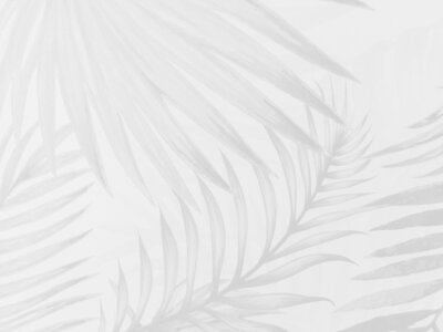 Fototapete Dezentes Blattmuster