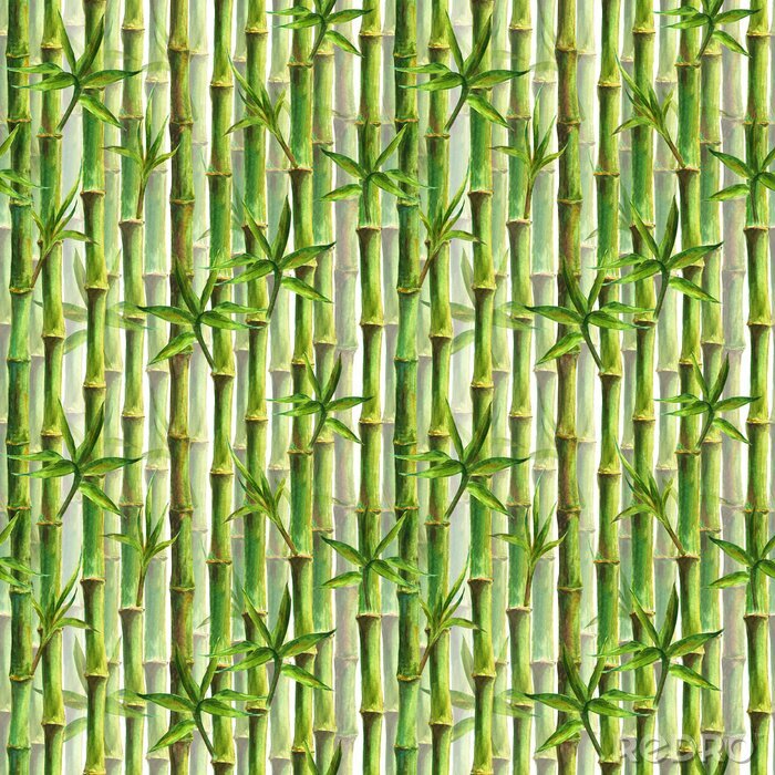 Fototapete Dicht gepflanzter Bambus