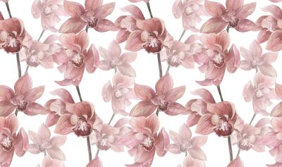 Fototapete Dichte rosafarbene Orchideenblüten