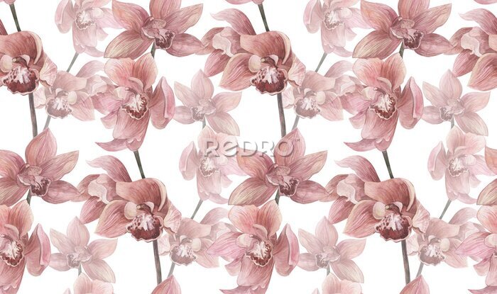 Fototapete Dichte rosafarbene Orchideenblüten