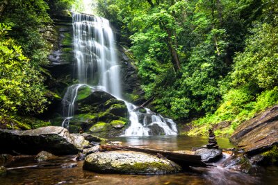 Fototapete Dichter Wald und Wasserfall